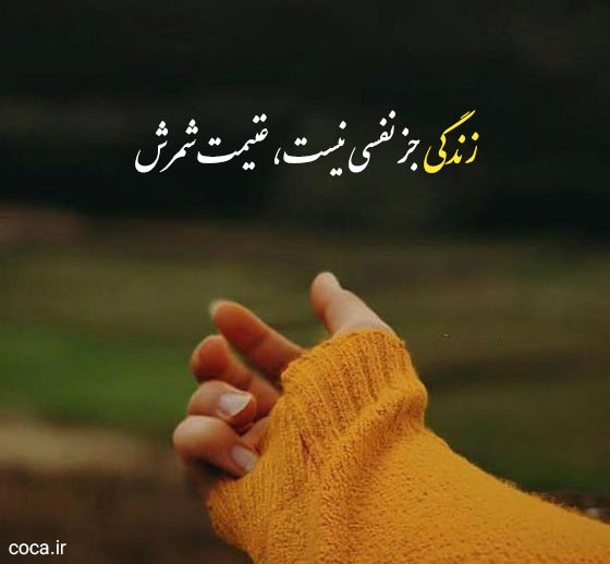 تک بیتی های زیبا و معنادار برای زندگی