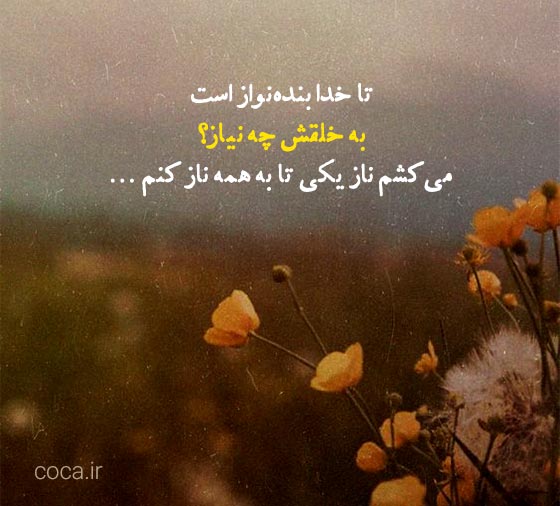 تک بیتی های عارفانه و زیبا