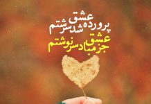 تک بیت های عاشقانه نظامی گنجوی