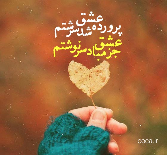 تک بیت های عاشقانه نظامی گنجوی