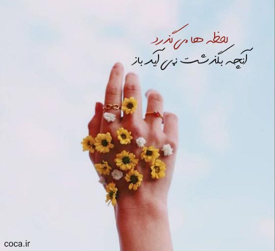 تک بیت های ناب از سهراب سپهری