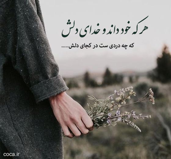 تک بیت های ناب مهدی اخوان ثالث