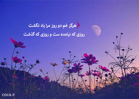 تک بیت های پرمعنا از خیام نیشابوری