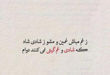 تک بیتی های زیبا و ناب پروین اعتصامی