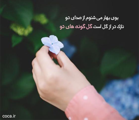 تک بیتی عاشقانه قیصر امین پور