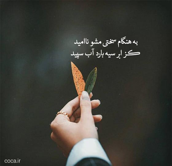 تک بیتی ناب از نظامی گنجوی