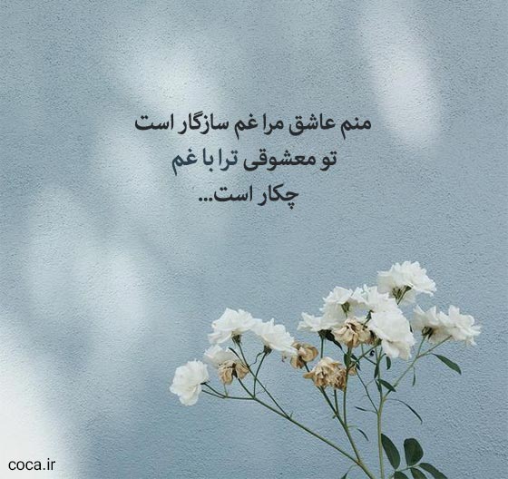 بهترین اشعار و تک بیتی های نظامی گنجوی