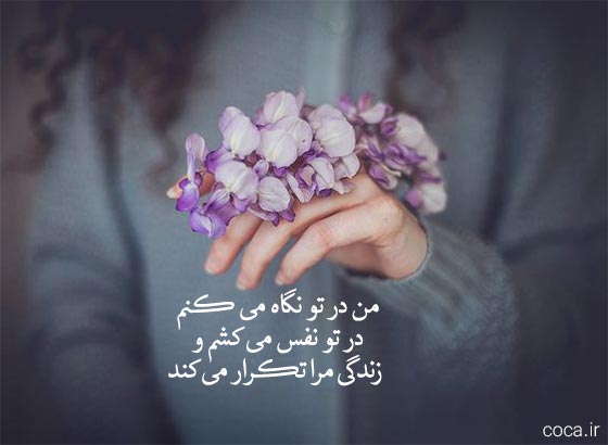 شعر نو و تک بیت عاشقانه از شاملو