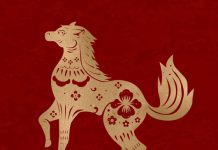 طالع بینی چینی متولدین سال اسب چه خصوصیاتی دارند؟