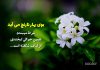 متن و جملات زیبا در مورد بهار نارنج
