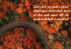 شعرهای ادبی در مرود اردبیل