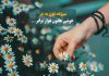 متن و جملات قشنگ در مورد سیزده به در