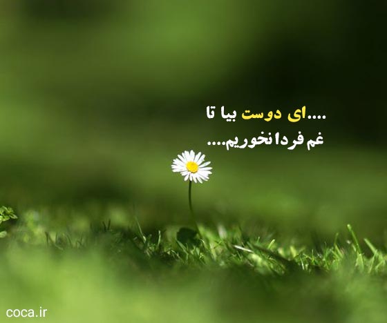 اشعار تک مصرعی ناب از خیام