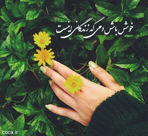 تک مصرع های عارفانه خیام
