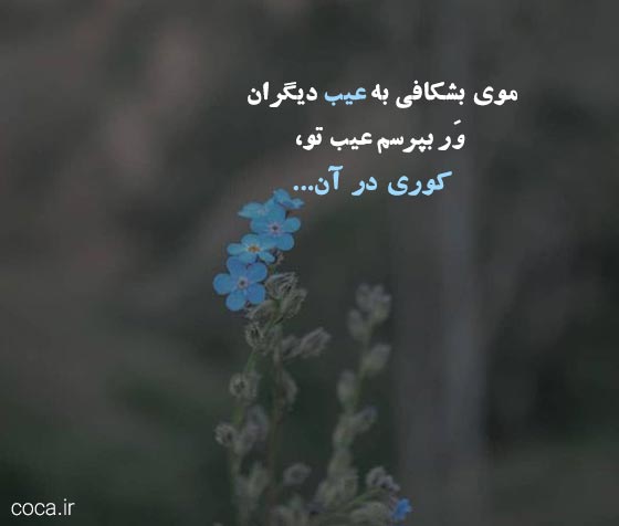 شعر و تک بیتی اخلاقی از شاعران معروف