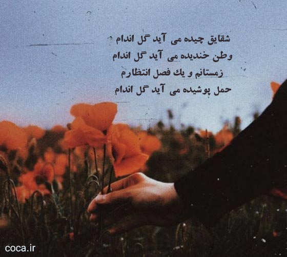 شعرهای زیبا و احساسی افغانی