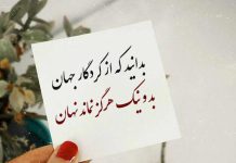 تک بیتی های ناب فردوسی