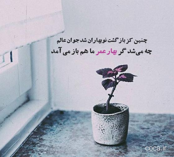 زیباترین اشعار عرفانی صائب تبریزی