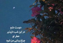تک بیتی عاشقانه محمد شمس لنگرودی