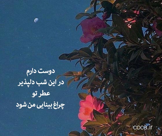 تک بیتی عاشقانه محمد شمس لنگرودی
