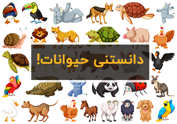 دانستنی های جالب و علمی در مورد حیوانات برای کودکان