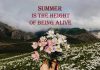 متن انگلیسی تابستان و زیبایی هایش