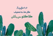 متن های زیبا درباره گل کاکتوس برای پروفایل