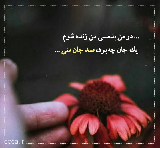 اشعار زیبای مولانا در وصف خدا