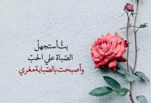 بهترین اشعار عربی سعدی