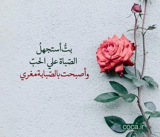 بهترین اشعار عربی سعدی