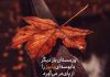 متن و جملات در مورد پایان پاییز