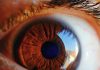 دانستنی های علمی و جالب درباره چشم انسان