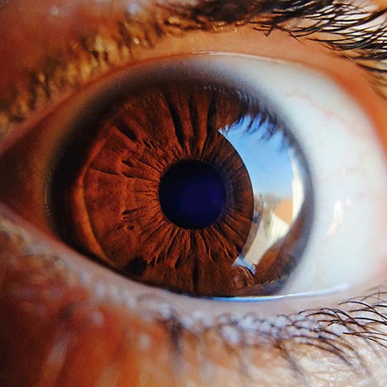 دانستنی های علمی و جالب درباره چشم انسان