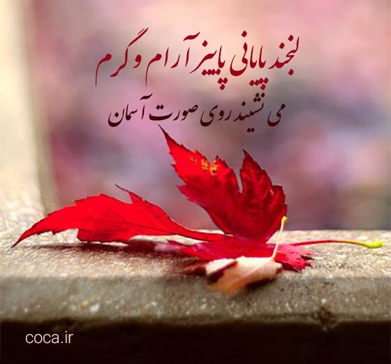 متن های زیبا و ادبی در مورد روزهای آخر پاییز