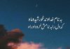 اشعار سه بیتی زیبا از فردوسی