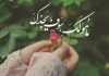 متن کوتاه عربی با مفهوم زیبا