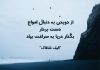 سخنان و جملات زیبای الیف شافاک