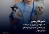متن های زیبا در مورد شغل دامپزشکی