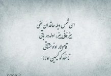 اشعار زیبا و ترکی مولانا
