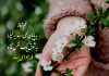 متن زیبا در مورد هوای بهاری