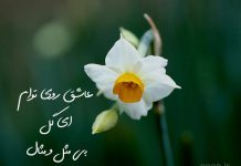 شعرهای امام خمینی (ره) درمورد امام زمان