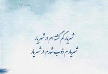 زیباترین اشعار مثنوی شهریار