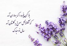 پیام تبریک سال نو خفن