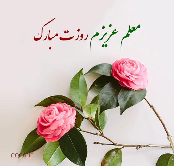جملات زیبا و کوتاه برای تبریک روز معلم