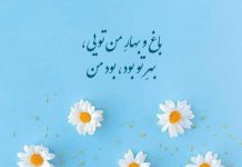 عکس پروفایل با اشعار مولانا