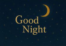 شب بخیر عشقم