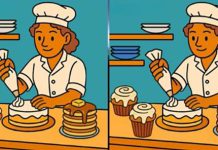 تست هوش تفاوت تصویری