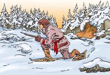 خطای دید خرس