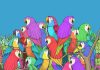 بازی فکری پروانه پنهان بین طوطی ها