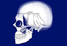 تست شخصیت شناسی : اول جمجمه را دیدید یا دختر را؟